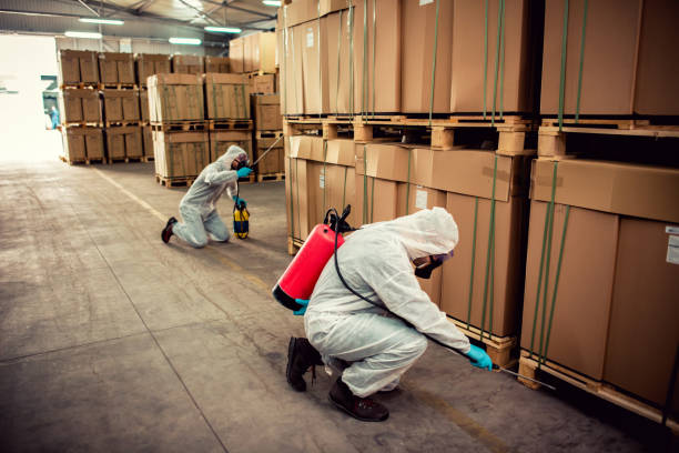 Best Cockroach Control Services  in Greensburg, LA