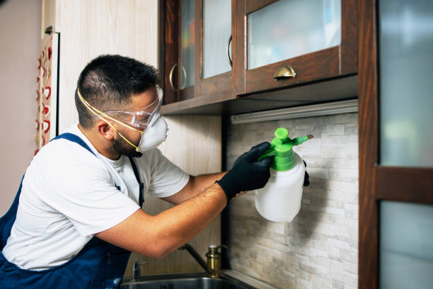 Best Best Pest Control Companies  in Greensburg, LA