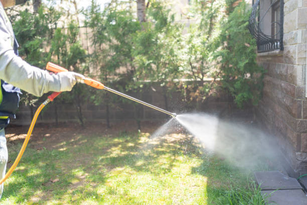 Best Insect Control  in Greensburg, LA