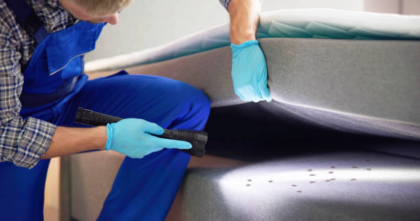 Professional Pest Control in Greensburg, LA
