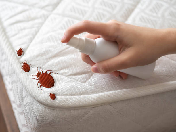 Pest Control Cost in Greensburg, LA