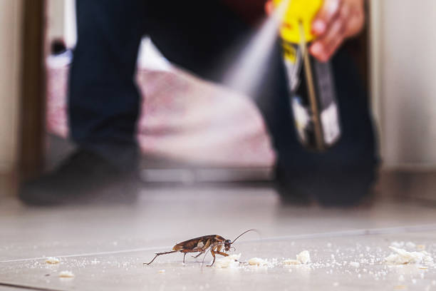 Best Residential Pest Control  in Greensburg, LA
