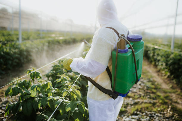 Insect Control in Greensburg, LA